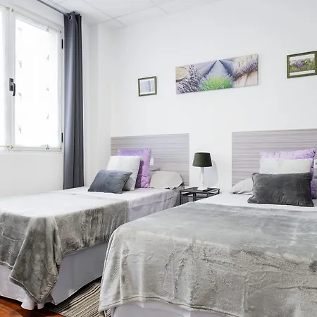 公寓 Vivienda Ideal Familias En 圣塞瓦斯蒂安